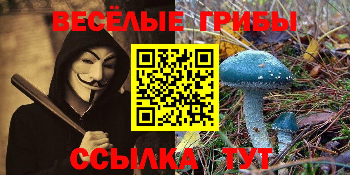 Богородск  Псилоцибиновые грибы Cubensis  где купить наркотик  Вход с VPN 